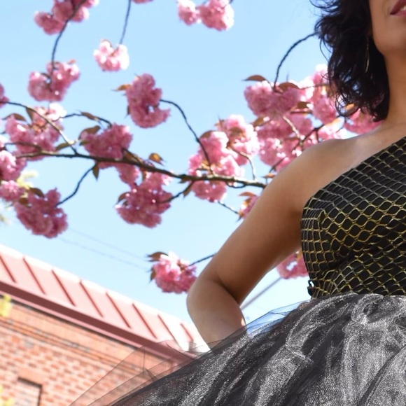 Handmade One Shoulder Black Tulle Ballgown with Asymmetrical Neckline (size 6) - Picture 12 of 12